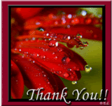 th_ththank-you1-1.gif